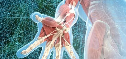 o que é fascia e porque ela importa